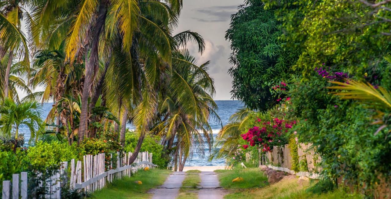 Nisbet Plantation Beach Club Newcastle Bagian luar foto